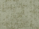 Covington Ace CHAMPAGNE Fabric