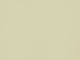 Color Black Aphrodite Fabric