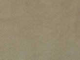 Color Black Aphrodite Fabric