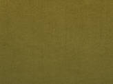 Color Black Aphrodite Fabric