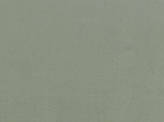 Color Black Aphrodite Fabric