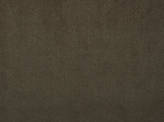 Color Black Aphrodite Fabric