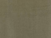 Color Black Aphrodite Fabric