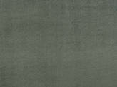 Color Black Aphrodite Fabric