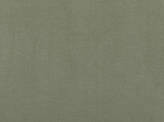 Color Black Aphrodite Fabric