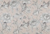 Covington Collections New Collection Colibri 7 BLUSH