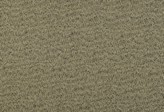 Covington Culver 610 TOFFEE Fabric