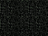 Covington Dare 947 NOIR Fabric