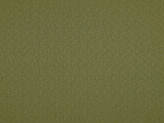 Covington Discovery GREEN TEA Fabric