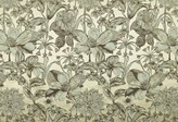Covington Collections New Collection Eva 131 PARCHMENT