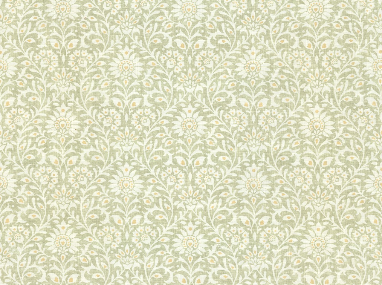 Covington Collections New Collection Farida 216 WILLOW