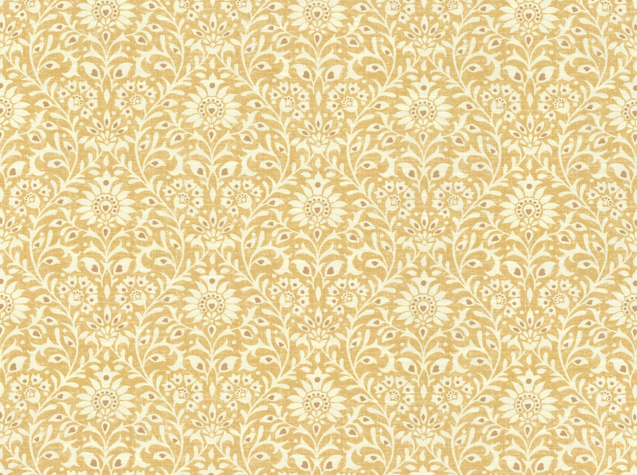 Covington Collections New Collection Farida 805 CURRY