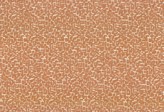 Covington Fx-crackled - Soil And Stain 376 CLAY Fabric