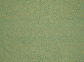 Covington Hepburn 592 SPA Fabric