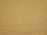Covington Hepburn 862 ORO Fabric
