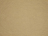 Covington Hepburn 881 VINTAGE GOLD Fabric