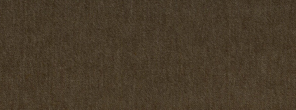 INFATUATION 25 OLIVE