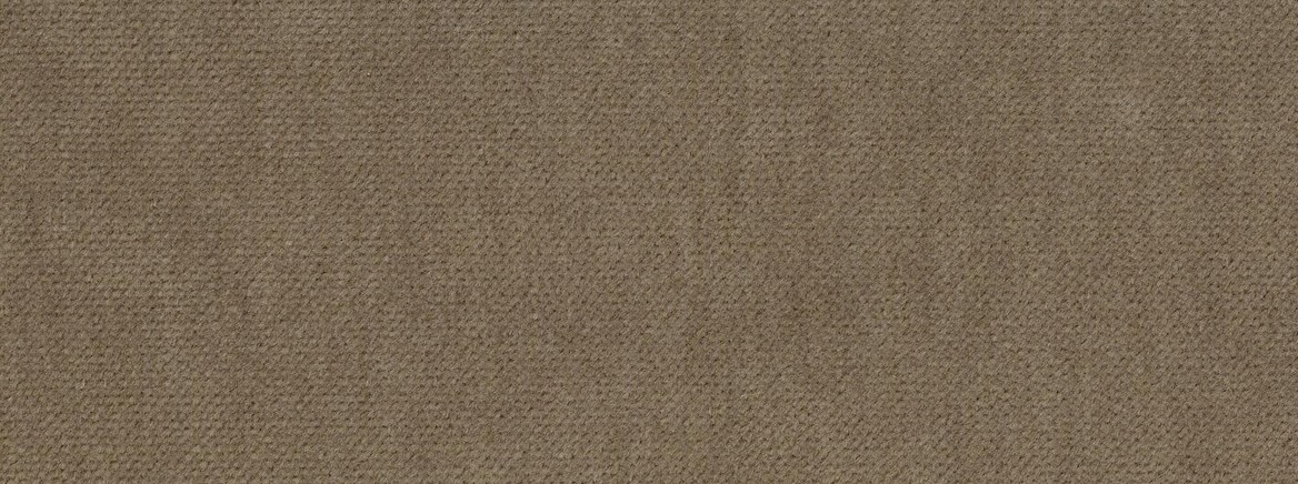 INFATUATION 63 TAUPE