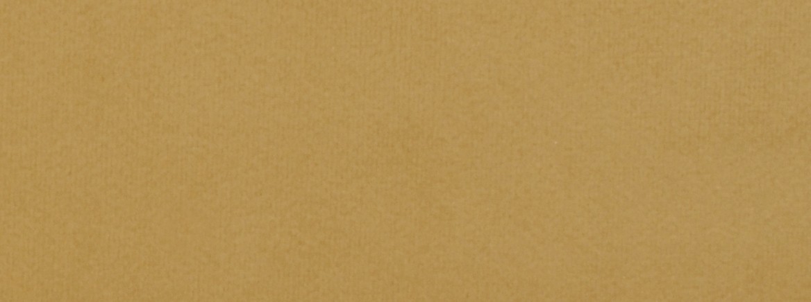 KAISER 881 VINTAGE GOLD