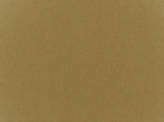 Covington Solids and Textures Kanvastex 88 GOLDEN