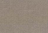 Covington Collections New Collection Melee 63 TAUPE