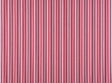 Prints View All Mg-polo Stripe SCARLET