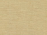 Covington Solids and Textures Mulberry 1 HONEY BEIGE