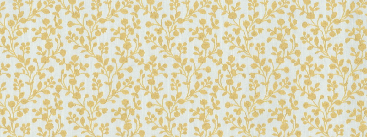 MURIEL 82 BUTTER