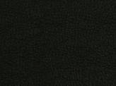 Covington Naples BLACK Fabric