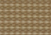 Covington Collections New Collection Ocotillo 118 SANDSTONE