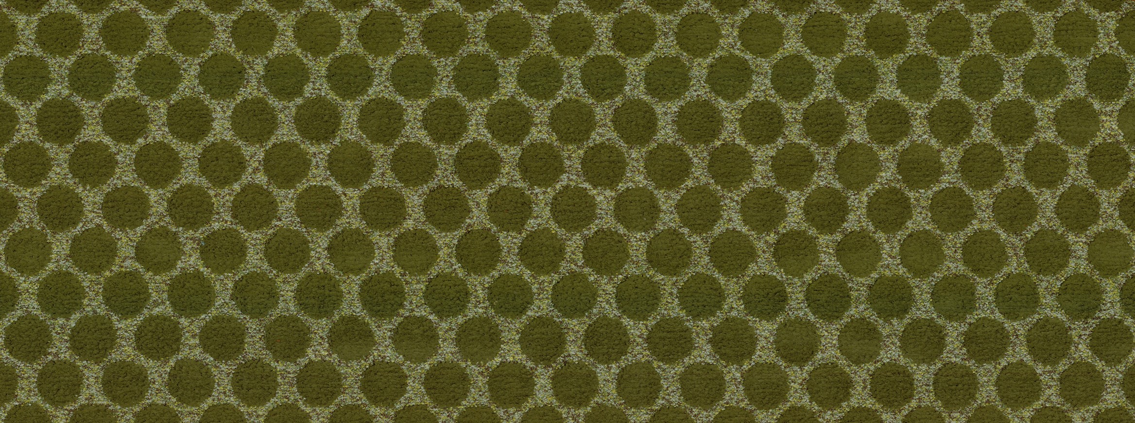 ORBS 25 OLIVE