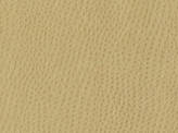 Covington Osorno FLAX Fabric