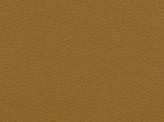 Covington Pachino BUTTERSCOTCH Fabric