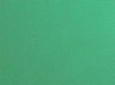 Covington Solids and Textures Pebbletex 251 ISLAND GREEN