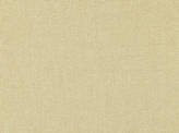 Covington Radiance 831 CITRINE Fabric