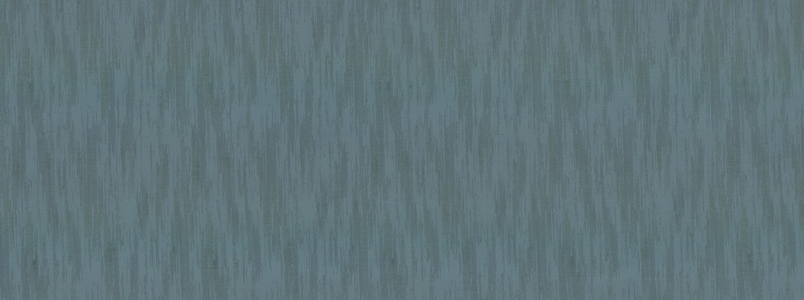 ROLAND 530 RAIN