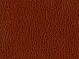 Covington Rosario CLOVE Fabric