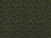 Covington Rothko 960 PYRITE Fabric