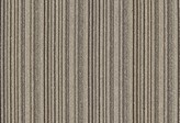 Covington Collections New Collection Sd-jolara 619 TRUFFLE