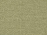 Covington Outdoor / Indoor Solution Dyed Fabrics Sd-melange 118 SANDSTONE