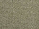 Covington Outdoor / Indoor Solution Dyed Fabrics Sd-melange 145 TRAVERTINE