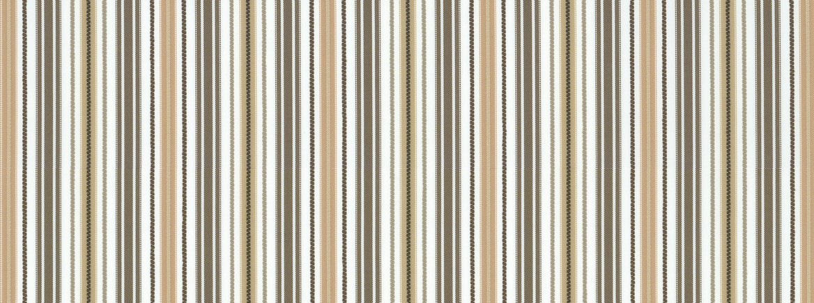 SD-MOTORWAY 64 BARK