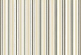 Covington Outdoor / Indoor Solution Dyed Fabrics Sd-motorway 952 STONE