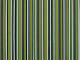 Covington Outdoor / Indoor Solution Dyed Fabrics Sd-reef Stripe 244 ACID GREEN