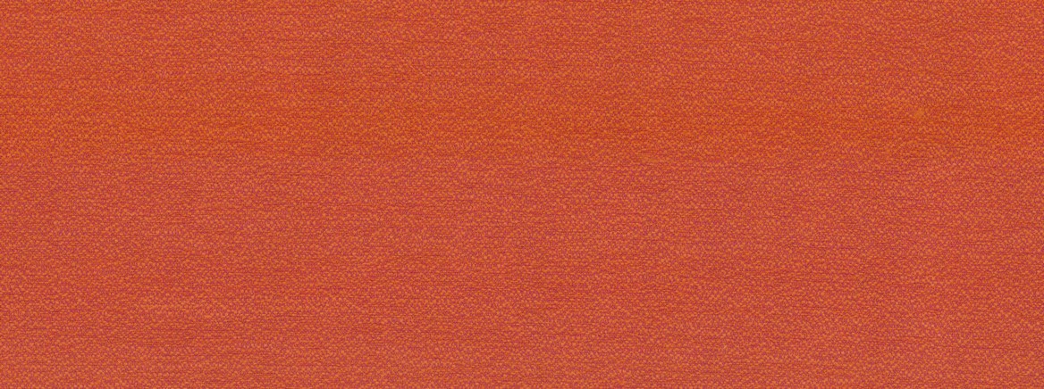 SD-SKYZONE 318 PERSIMMON
