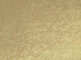 Covington Velluto 81 GOLDEN Fabric