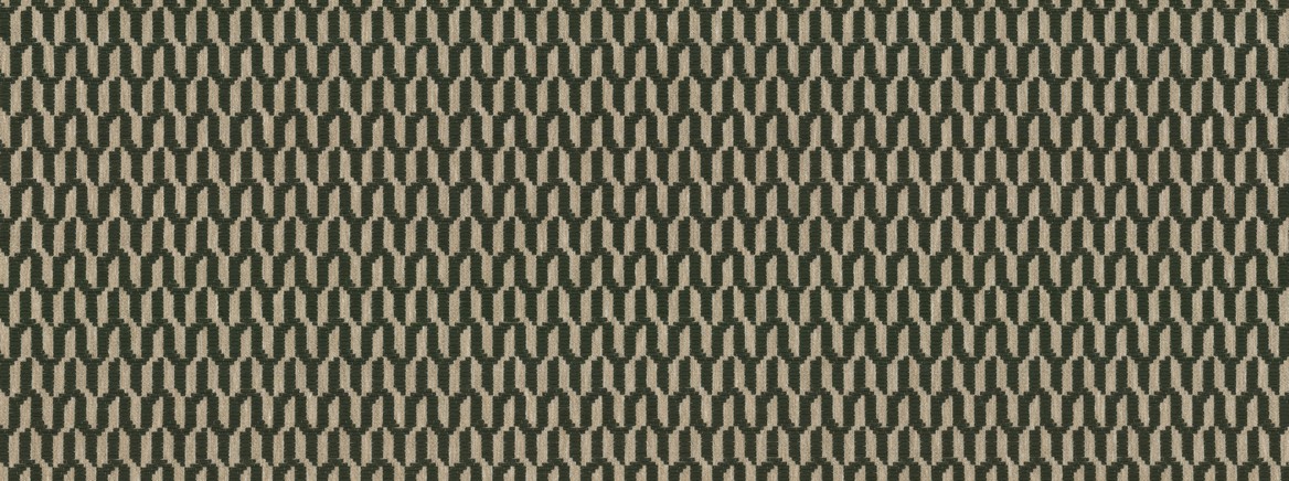 VOXIE 21 FOREST